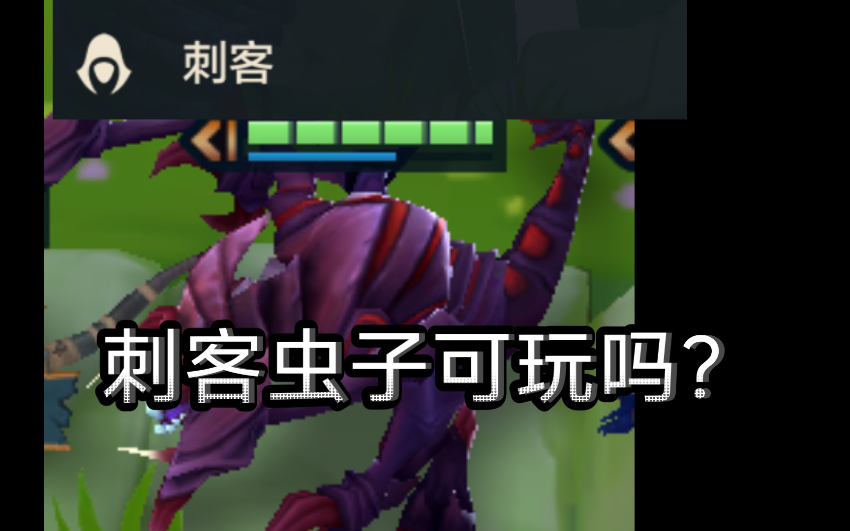 二十秒让你认识刺客虫子