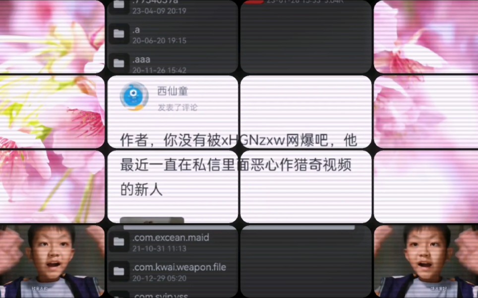 西仙童的亮度哔哩哔哩bilibili