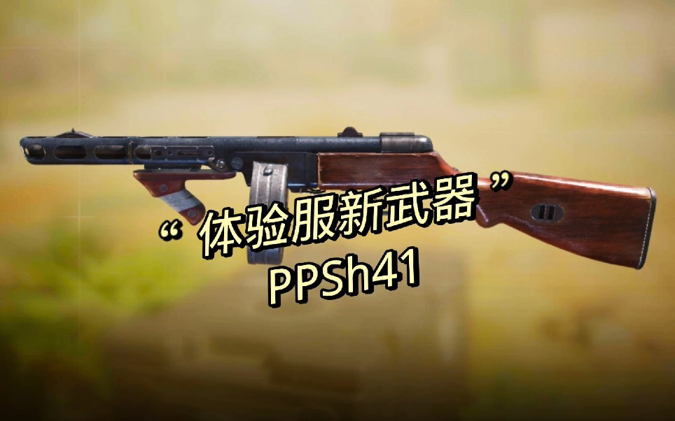 《使命召唤手游》体验服新武器(PPSh41)测试使命召唤手游