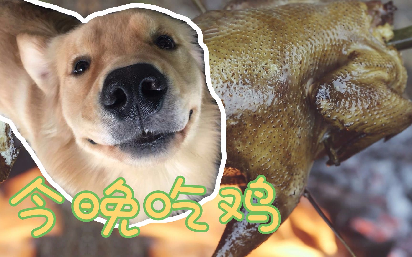 开局两男一狗组队吃鸡,狗子见鱼不上钩,亲自下水捞鱼,真人版绝地求生