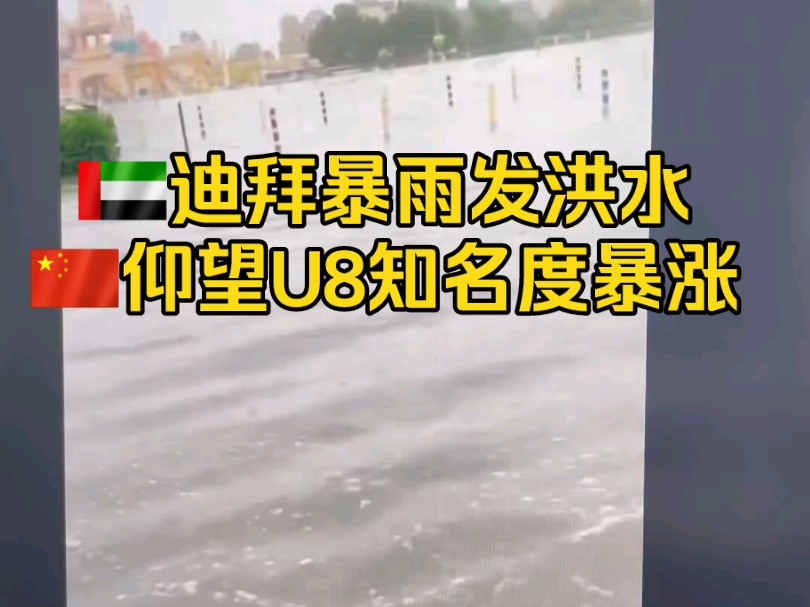 [图]迪拜暴雨发洪水，比亚迪仰望U8知名度暴涨