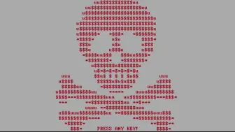 Download Video: Petya 勒索木马 （Petya/NotPetya 勒索病毒，闪灯警告）