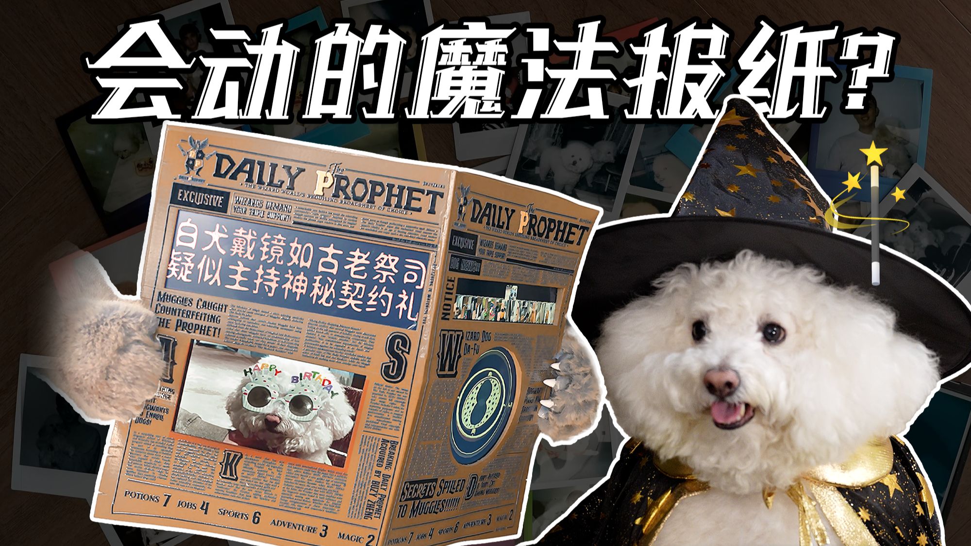 我把哈利波特的《预言家日报》做成了电子宠物相册