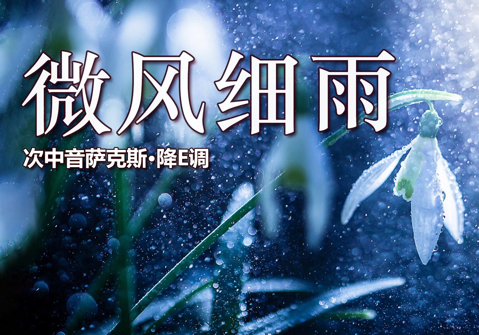 萨克斯一曲《微风细雨》,仿佛精灵在低语,旋律温柔地拂过心田!