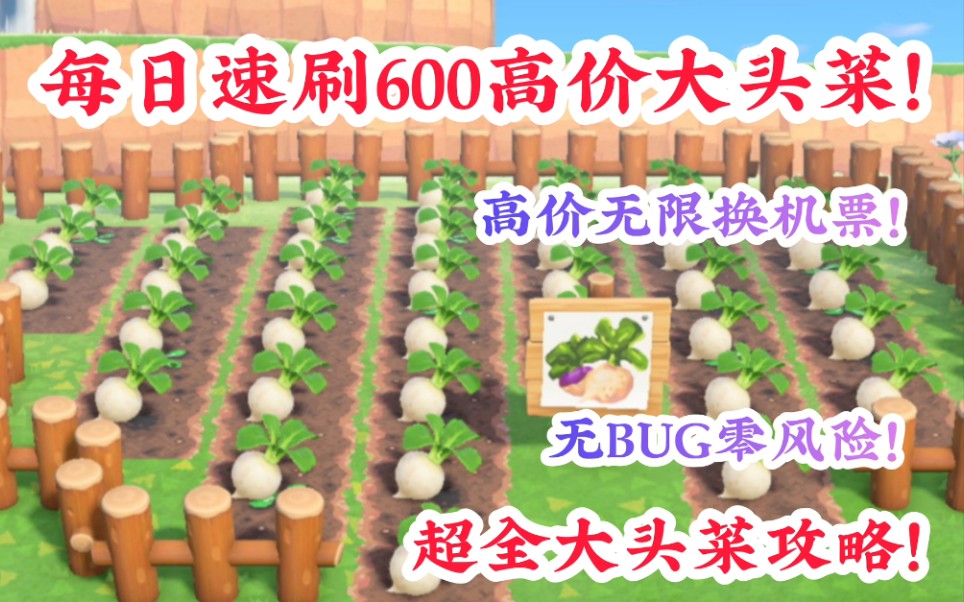 【动森】每日速刷600高价大头菜!高价无限换机票!超全的大头菜攻略,无bug,无ban机,无惩罚~你就是下一个华尔街之狼!哔哩哔哩bilibili