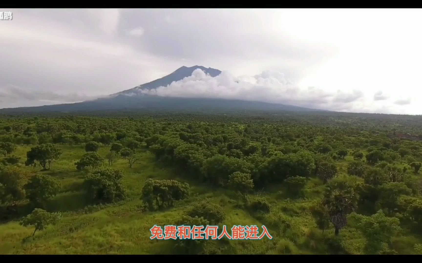 世界上最难进入的公园,卢旺达火山国家公园哔哩哔哩bilibili