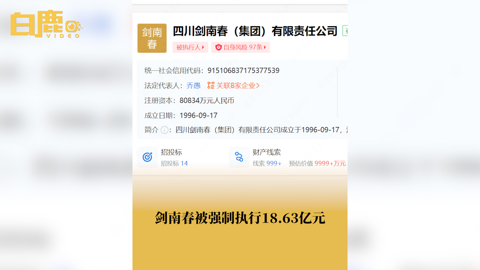 剑南春被强制执行18.63亿元哔哩哔哩bilibili