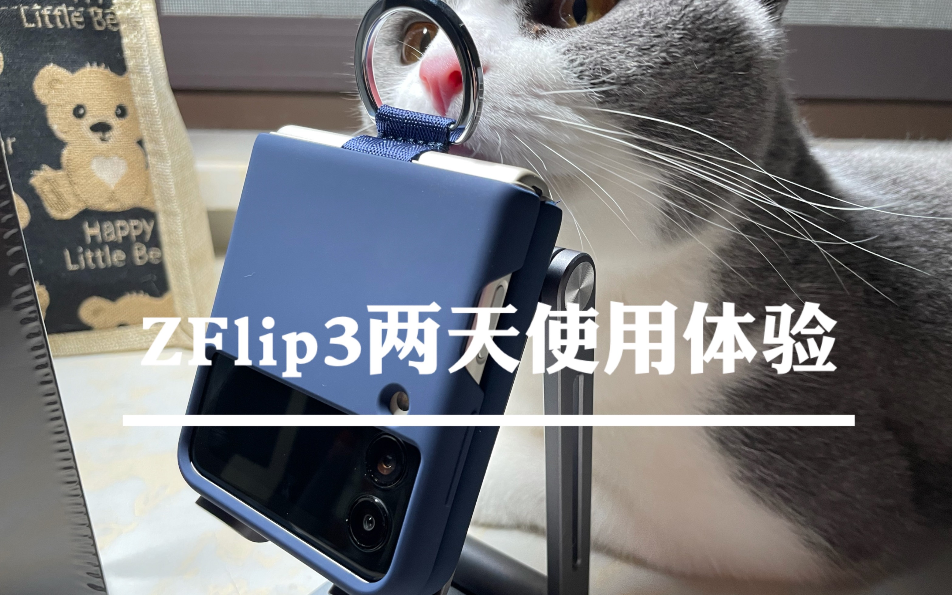 flip3两天使用体验哔哩哔哩bilibili