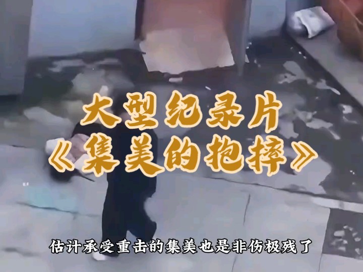 [图]大型纪录片《集美的抱摔》持续播出中…