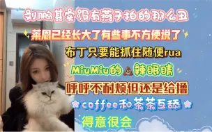 Download Video: 【沈小爱】锐评cat48|受害猫包括MiuMiu布丁刘鹏莱恩呼呼得意茶茶coffee土豆等