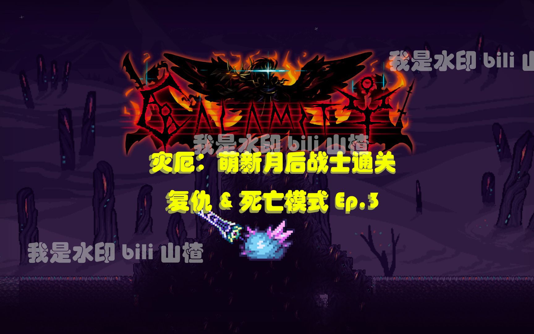 【泰拉瑞亚灾厄】ep.3:露脸,打神之仆无尽虚空&西格纳斯