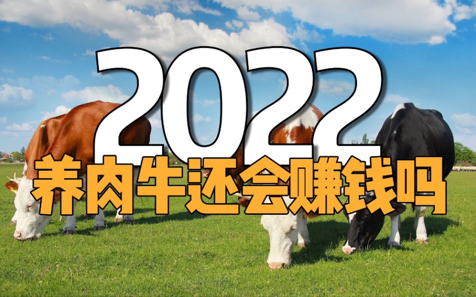 2022年养殖肉牛还会赚钱吗?从未来趋势分析,养牛的困境与机遇哔哩哔哩bilibili