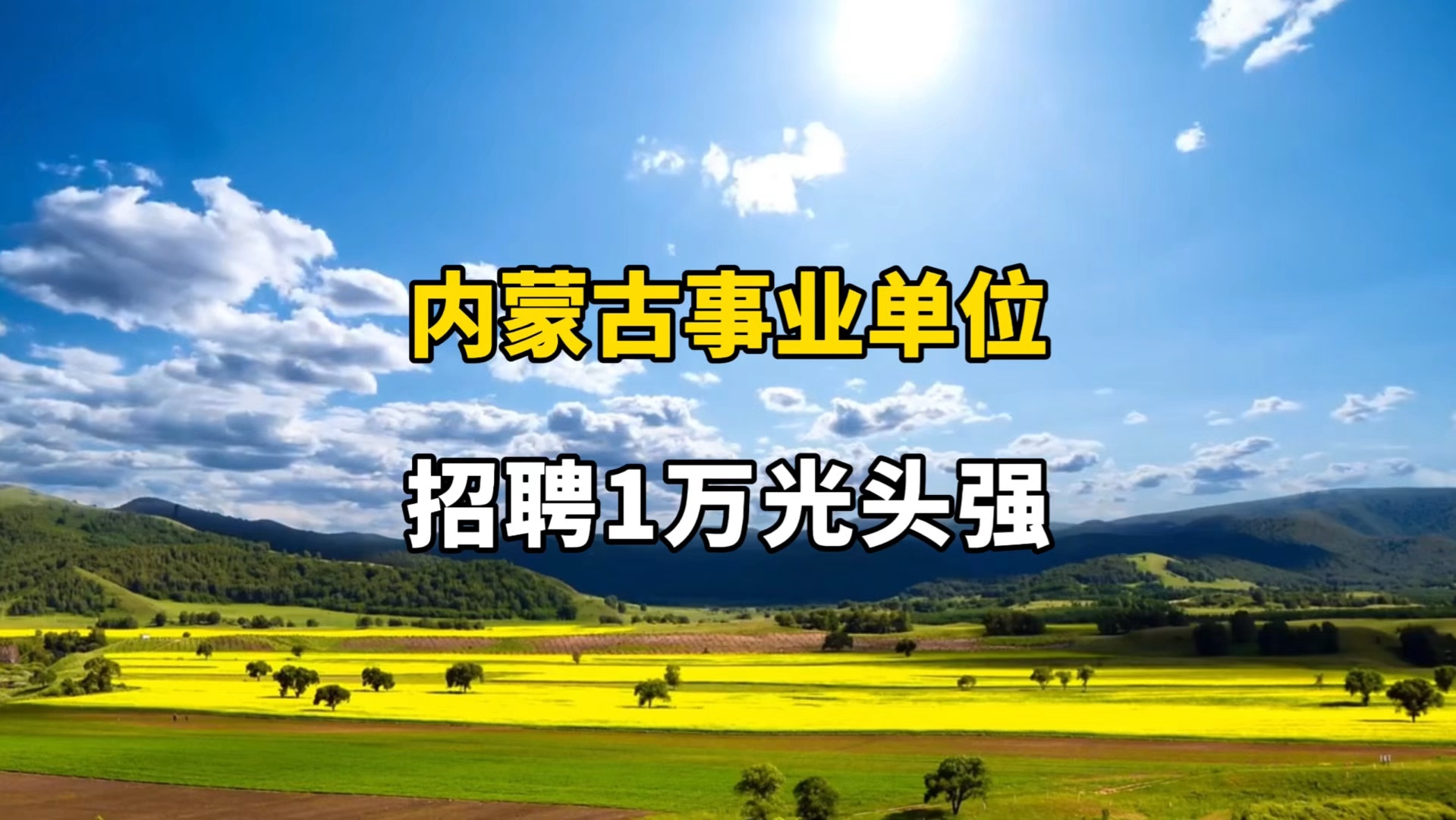 内蒙古事业单位招聘1万多光头强?哔哩哔哩bilibili