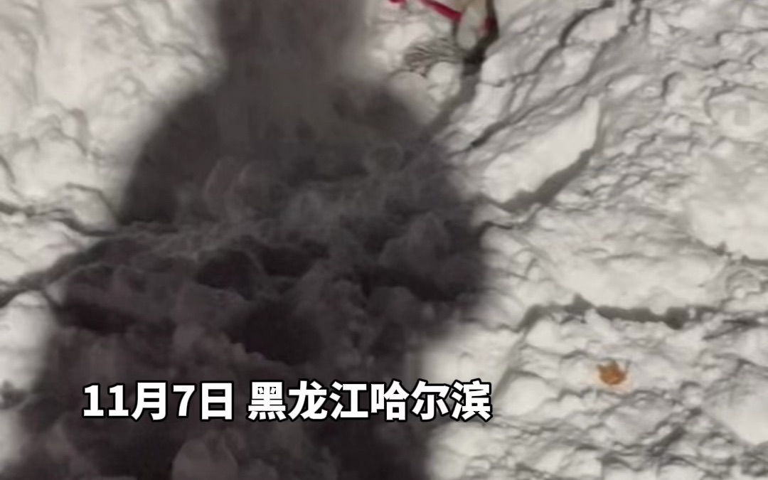 网友拍下大雪后小朋友拿着小铲子挖雪坑,想起了自己小时候!哔哩哔哩bilibili