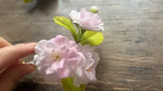 下载视频: 通草花～樱花