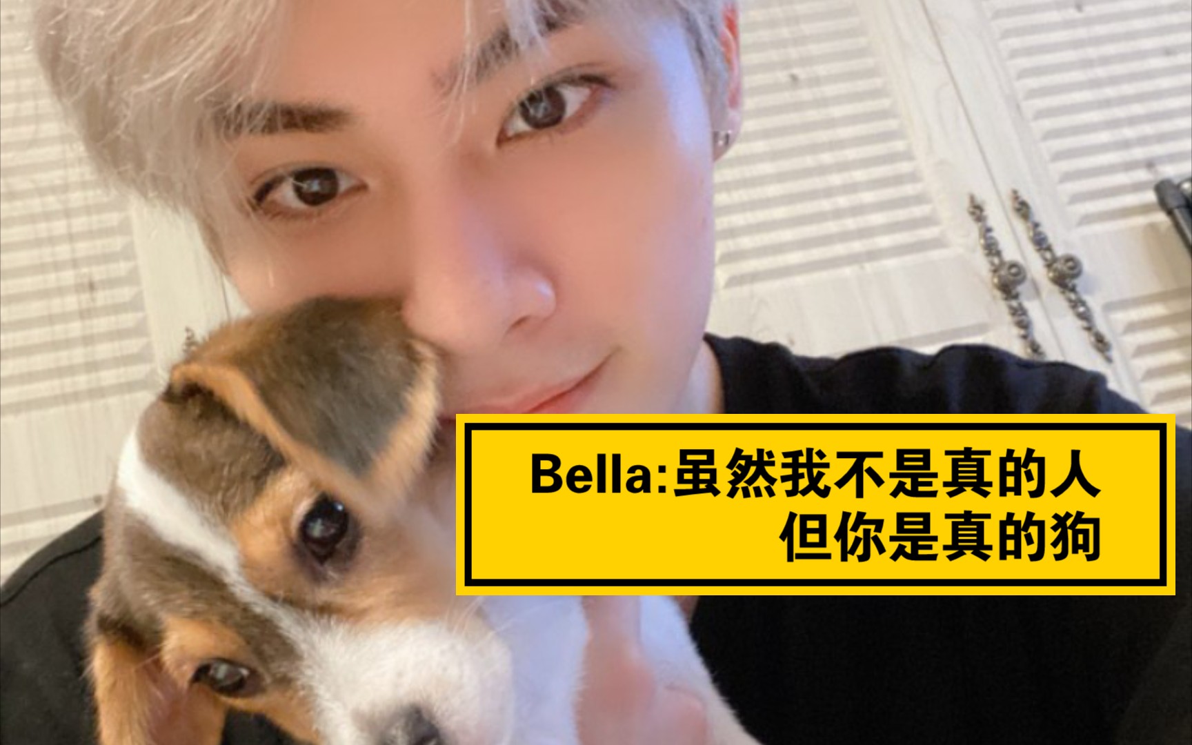 【肖俊】Bella:你做个人吧晓得俊哔哩哔哩bilibili