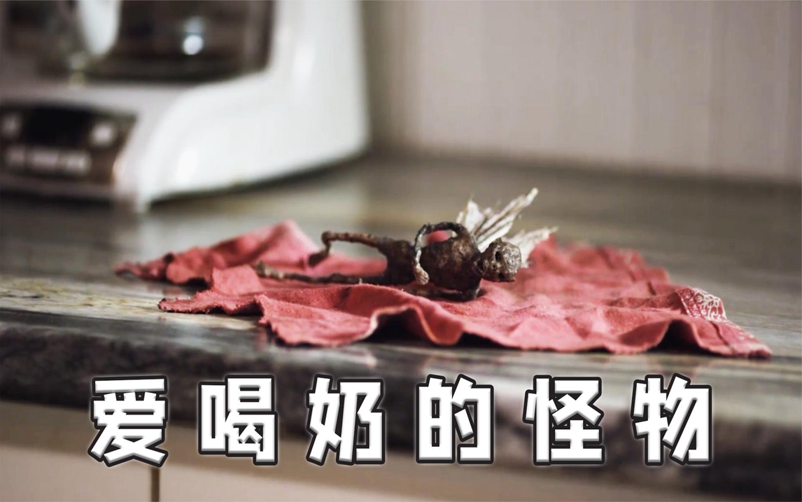 随手捡来的蝙蝠,居然沉迷于喝人奶,女人一根象牙让它死《沉迷》