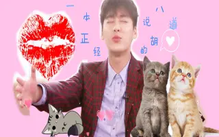 一本正经胡说八道 哔哩哔哩 Bilibili