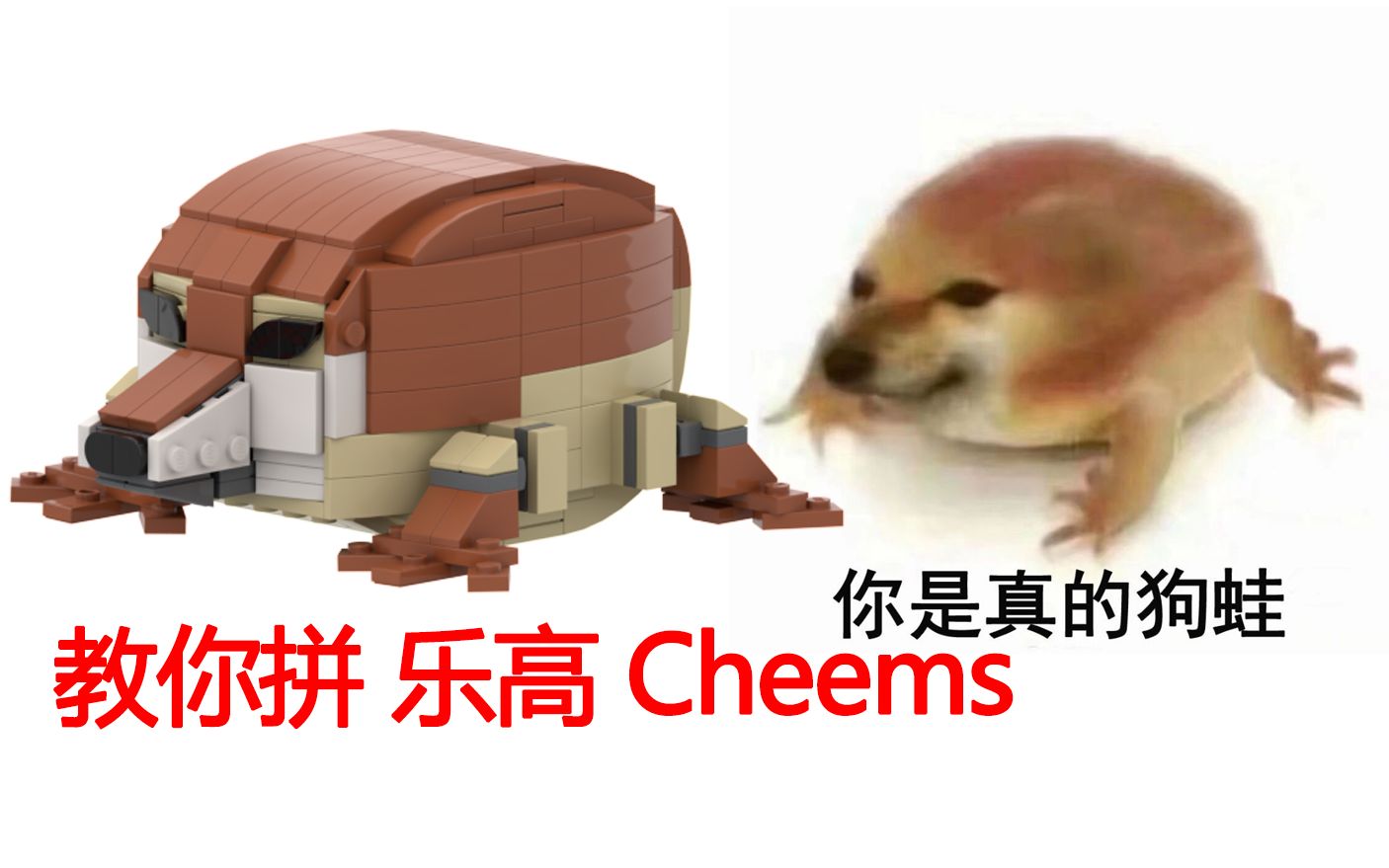 [图]【Cheems】教你做一只乐高cheems狗蛙