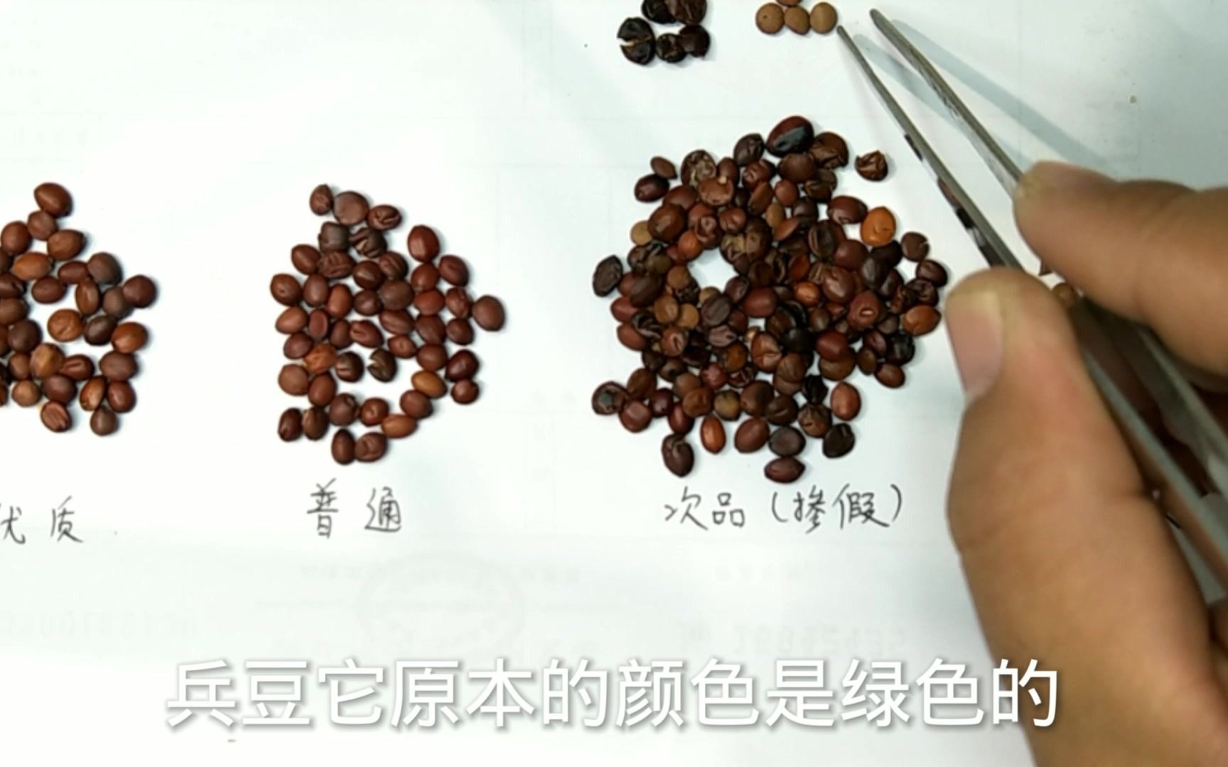 熟枣仁的功效与作用(熟枣仁的功效与作用,了解一下)