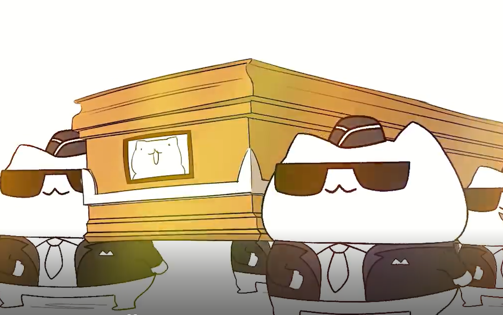 奇怪的猫咪又增加了黑人抬棺