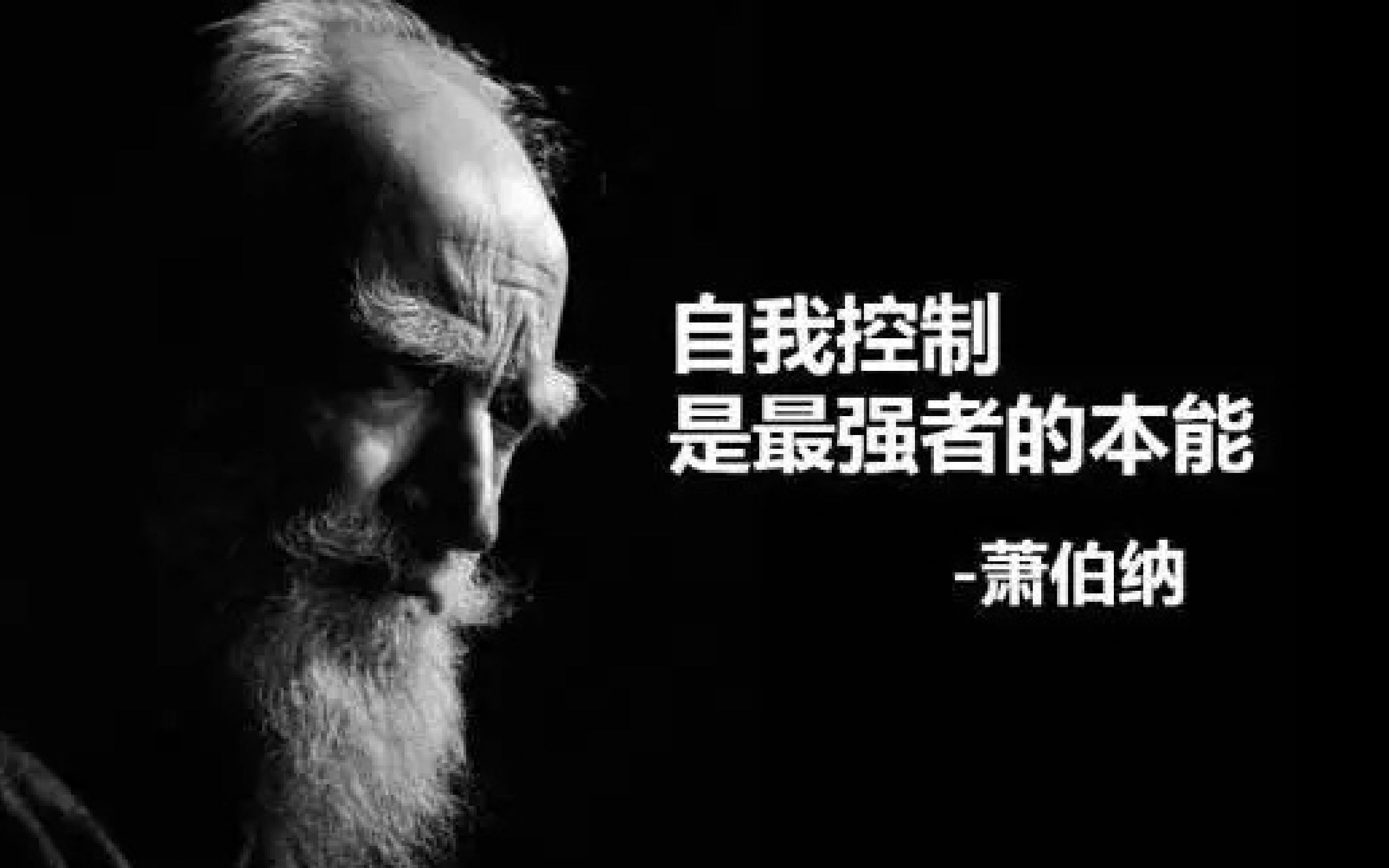 【励志短片】别懒惰久了,努力一下便以为是拼命?