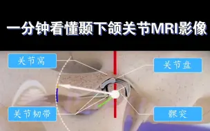 Download Video: 【口腔视频】颞下颌关节影像不会看？对着大体老师学！