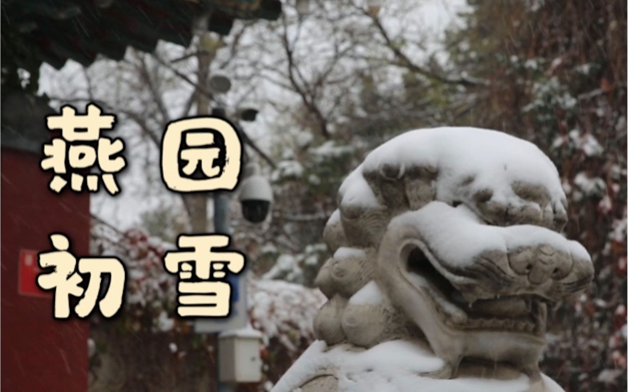 [图]立冬时节！在燕园与这样的雪景相会......