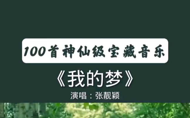 宝藏音乐推荐—我的梦哔哩哔哩bilibili