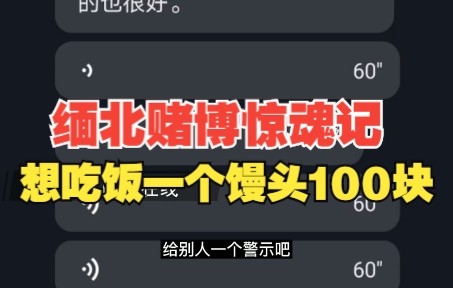 缅甸北部赌博惊魂记 想吃饭一个馒头100块哔哩哔哩bilibili