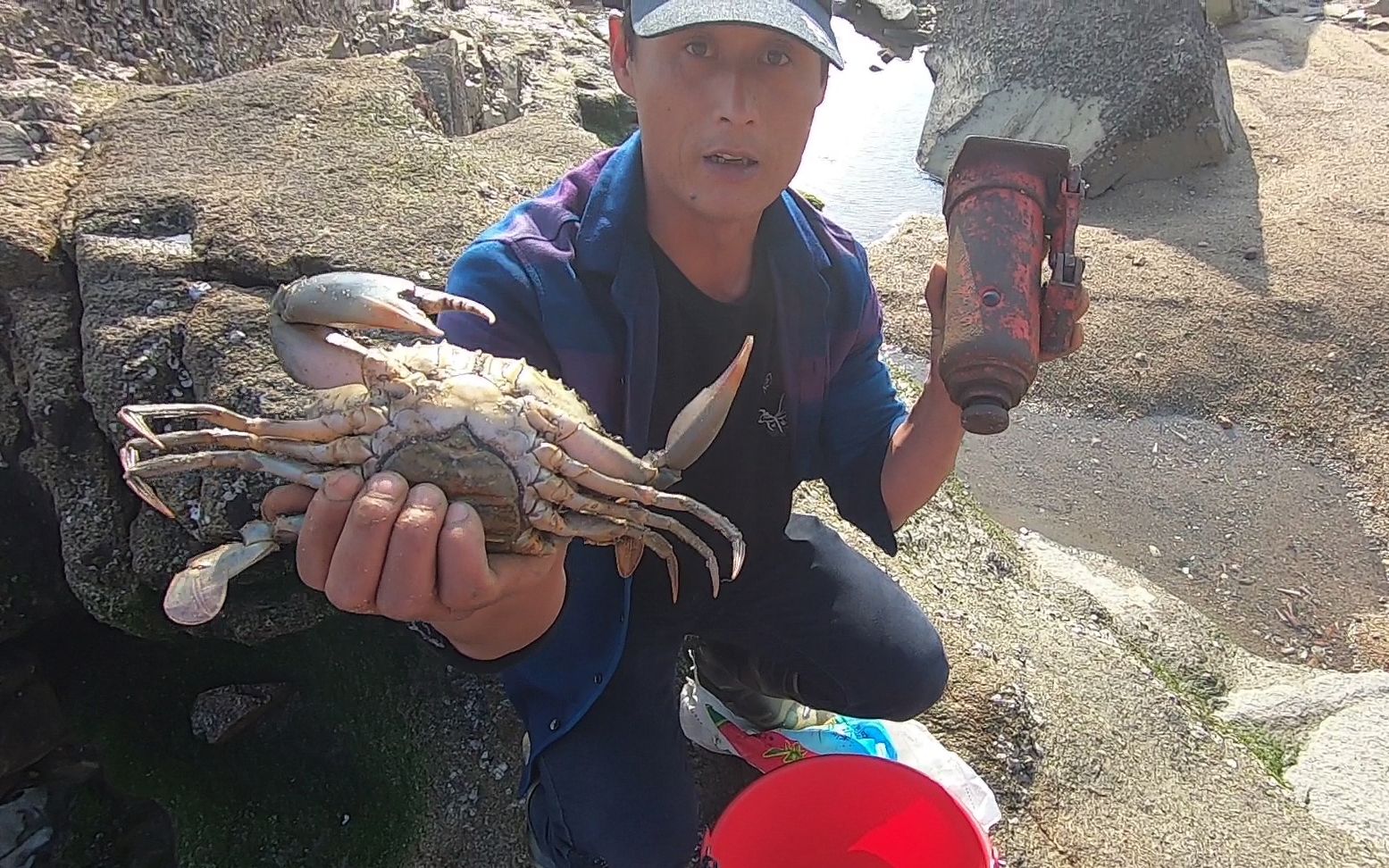 馒头赶海撞大运了千斤顶顶开巨石抓大螃蟹这么大只很值钱