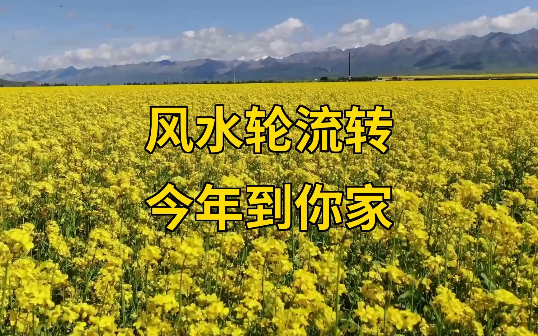风水轮流转,今年到你家,你的不顺即将结束