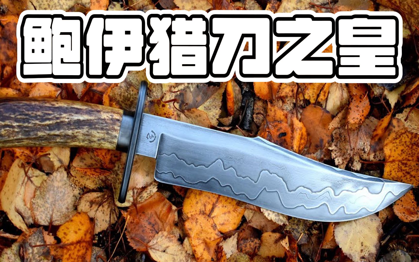 有约不来过夜半,闲敲钢坯落灯花,鲍伊猎刀的究极无敌进化体