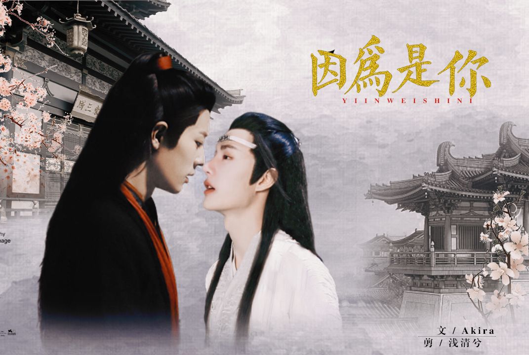 【羡忘】因为是你(番外-天天)