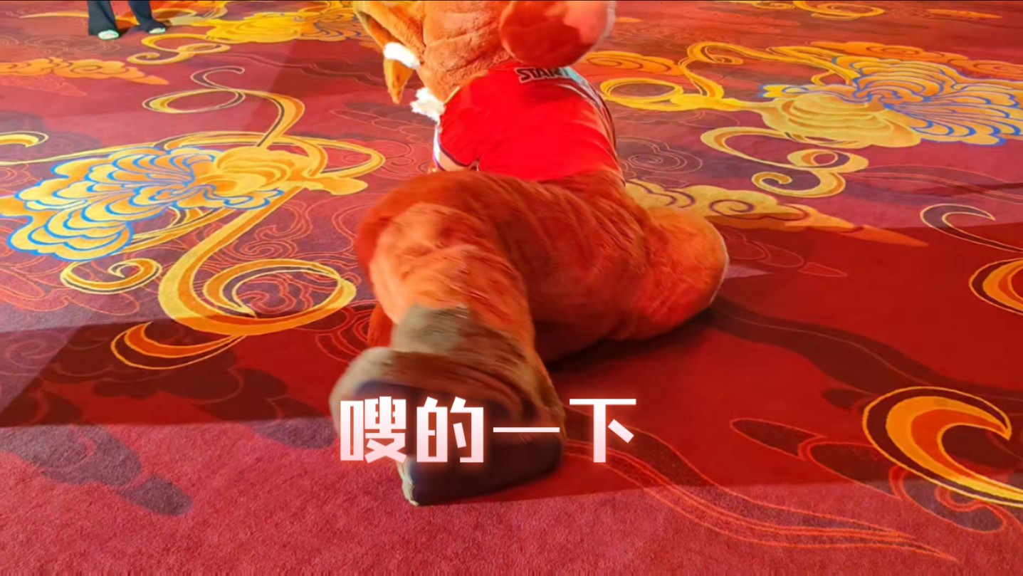 柔弱.jpg哔哩哔哩bilibili