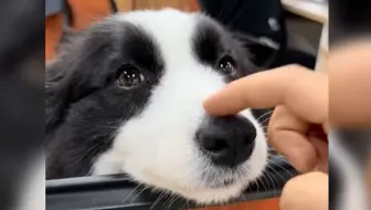 谁还不是个小可爱啦!