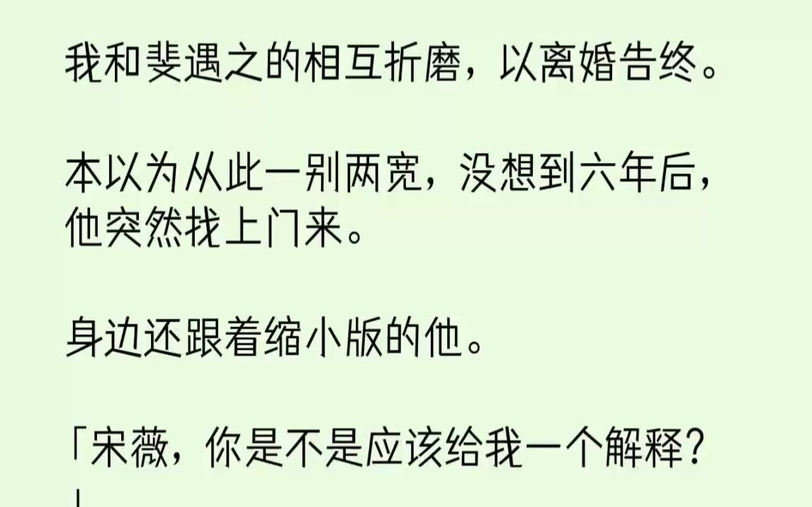 【完结文】我和斐遇之的相互折磨,以离婚告终.本以为从此一别两宽,没想到六年后,他...哔哩哔哩bilibili