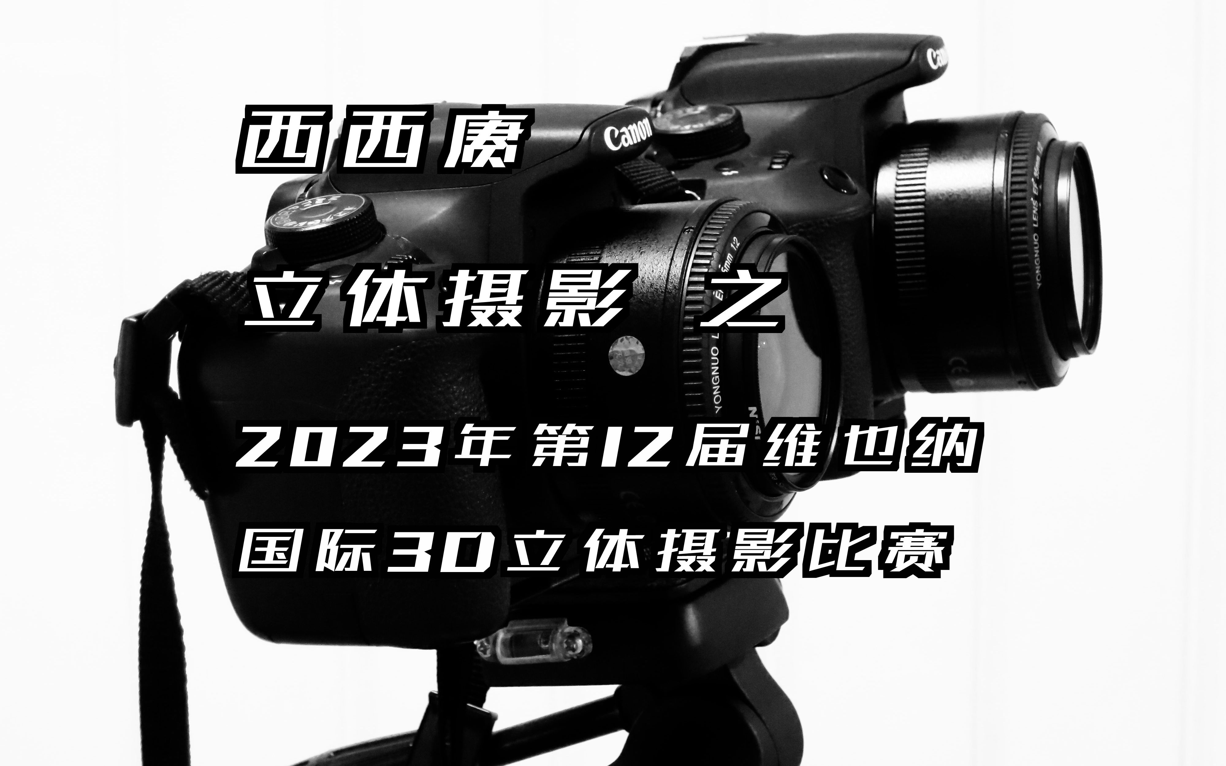 【西西赓】立体摄影:《2023年第12届维也纳国际3D立体摄影比赛》哔哩哔哩bilibili