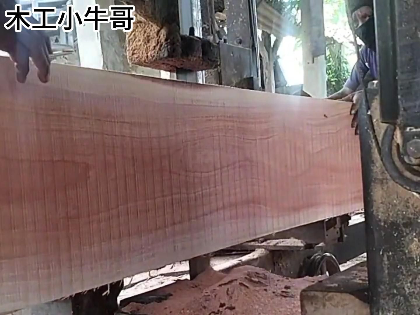 在锯木厂快速锯割一根桃花心木