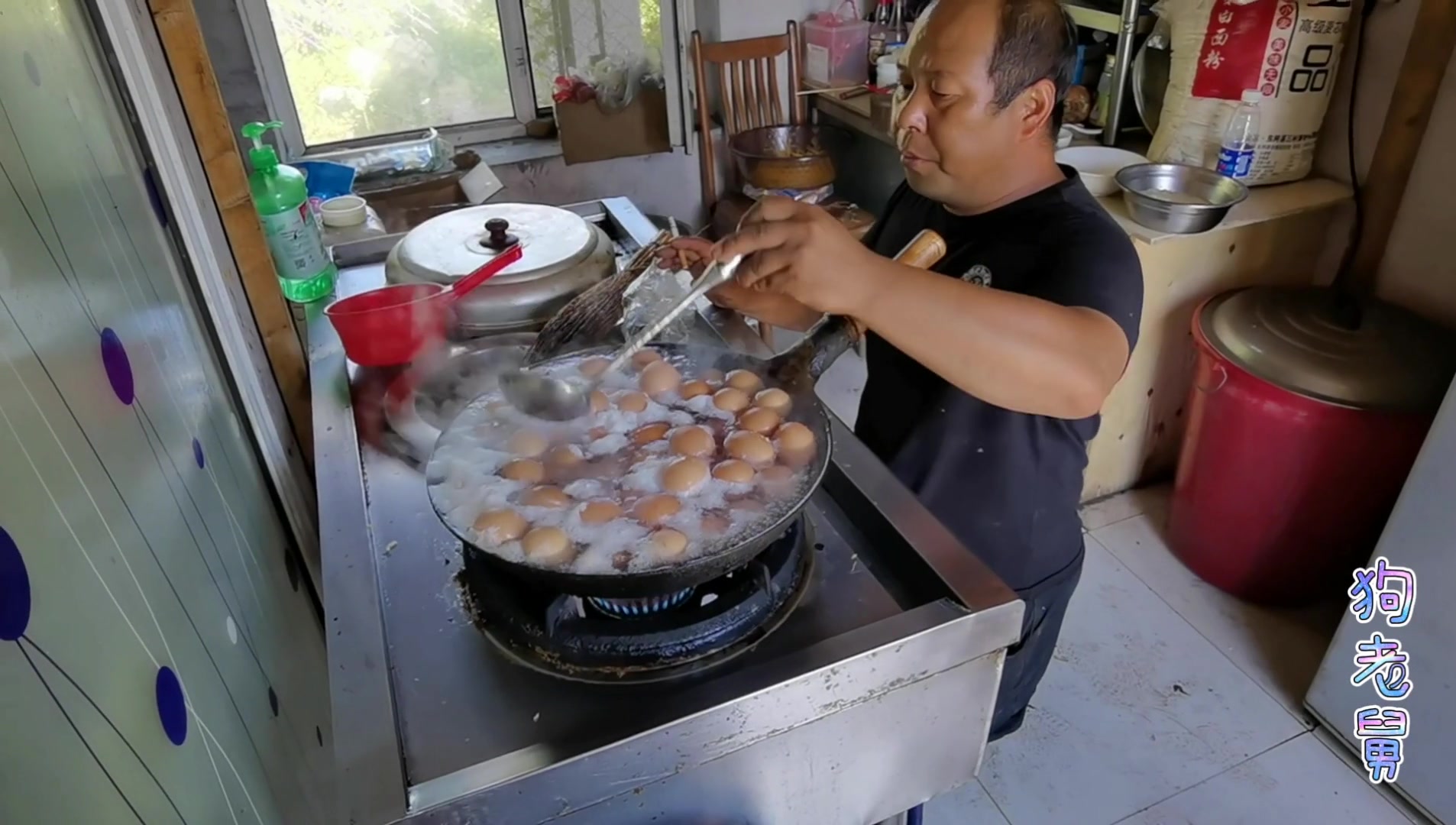 狗老舅为毛孩子做美食,100个鸡蛋加德州扒鸡,狗狗们好幸福