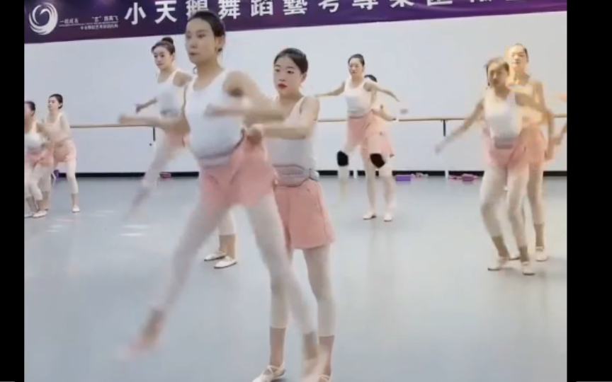 舞蹈美少女炼成进行时