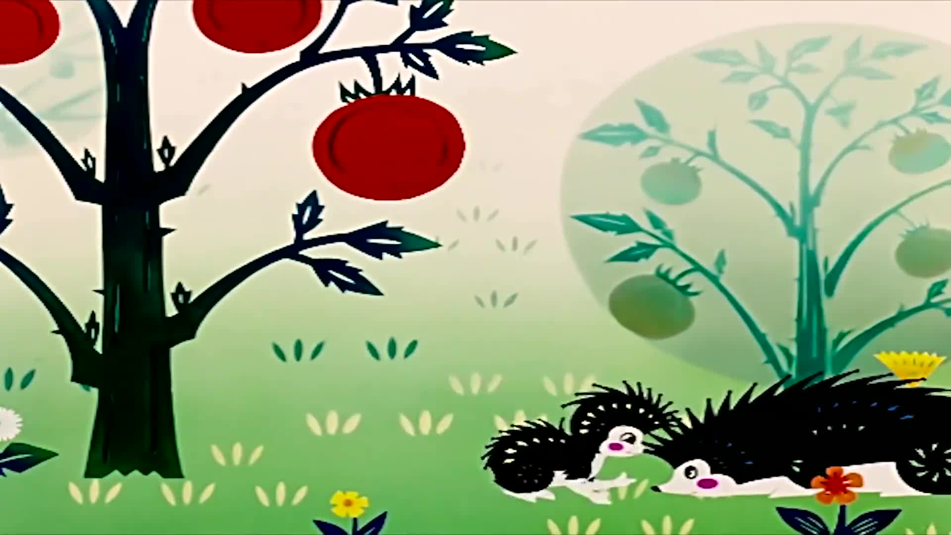 刺猬妈妈教小刺猬背西瓜