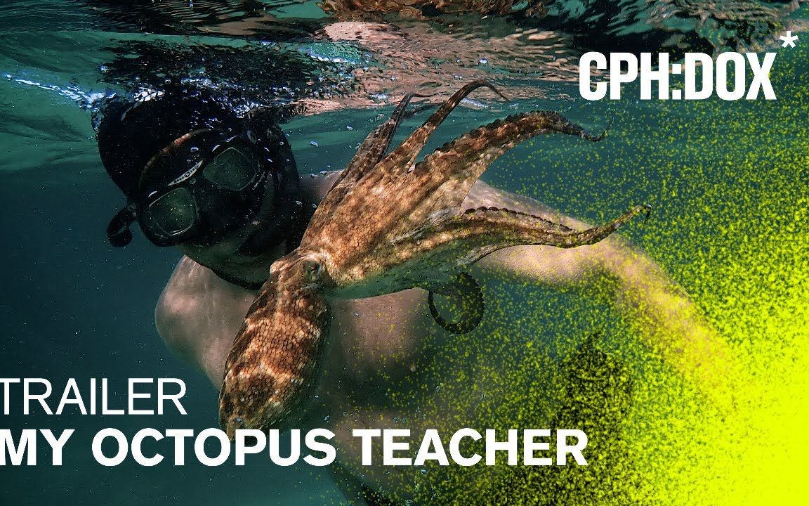 [图][奥斯卡最佳纪录长片提名][英语中字][Netflix纪录片]我的章鱼老师 My Octopus Teacher (2020)