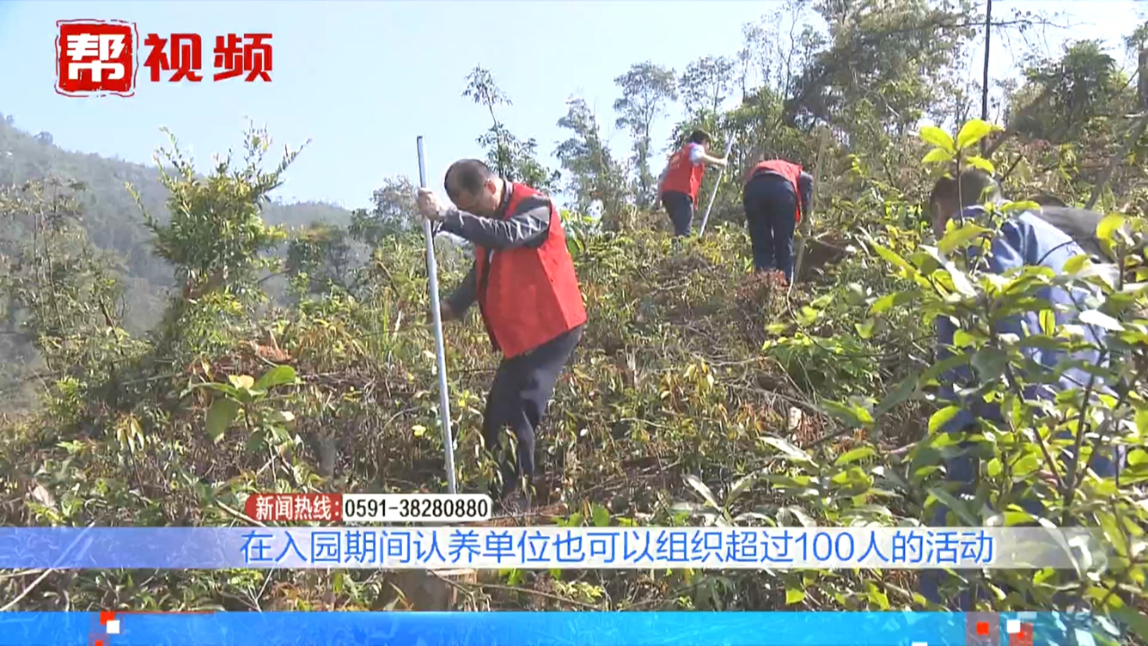 植树节即将来临!厦门推出这三种方式,方便市民参与植树活动哔哩哔哩bilibili