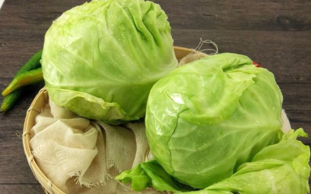 据说有钱人都这样吃包菜,真的是开胃下饭好菜,这个夏天就这样吃