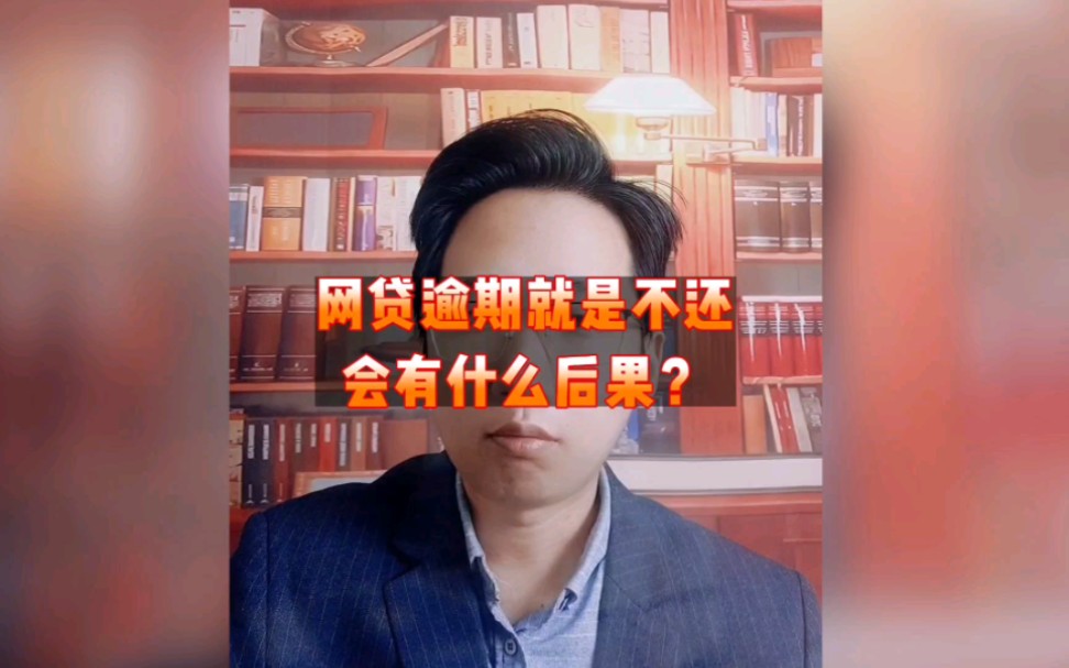 网贷我就是不还了,会有什么后果?哔哩哔哩bilibili