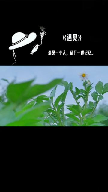 遇见一个人,留下一段记忆.