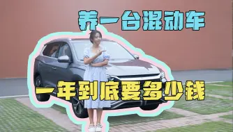 Descargar video: 养一台插混车，一年到底要花多少钱？