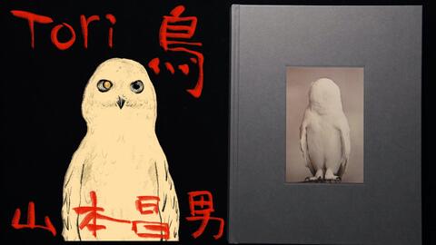 Tori「鸟」-Masao Yamamoto「 山本昌男」-摄影画册翻书视频_哔哩哔哩_