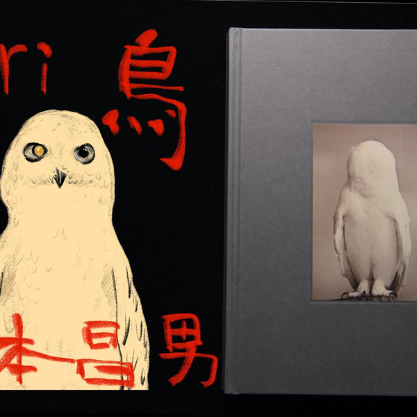 Tori「鸟」-Masao Yamamoto「 山本昌男」-摄影画册翻书视频_哔哩